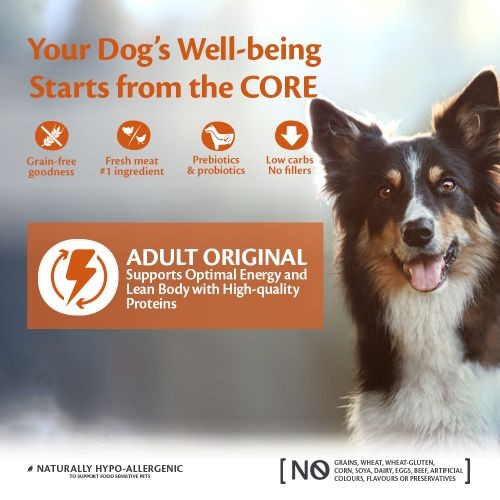 Wellness CORE Original Turkey and Chicken Grain Free Adult Dry Dog Food 10kg