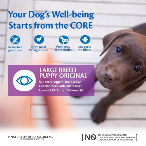 Wellness CORE Grain Free Dry Puppy Food for Large Breeds with Chicken 10kg