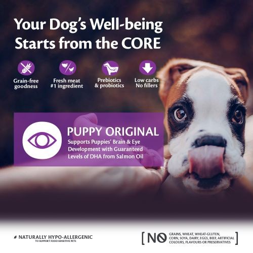 Wellness CORE Grain Free Dry Puppy Food with Chicken and Turkey 10kg