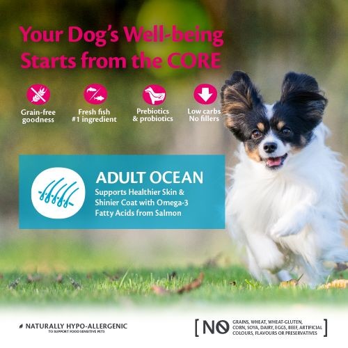 Wellness CORE Small Breed Ocean Fish with Salmon Grain Free Adult Dry Dog Food 5kg