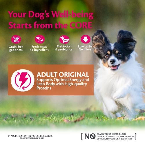 Wellness CORE Original Small Breed Turkey Grain Free Adult Dry Dog Food 5kg