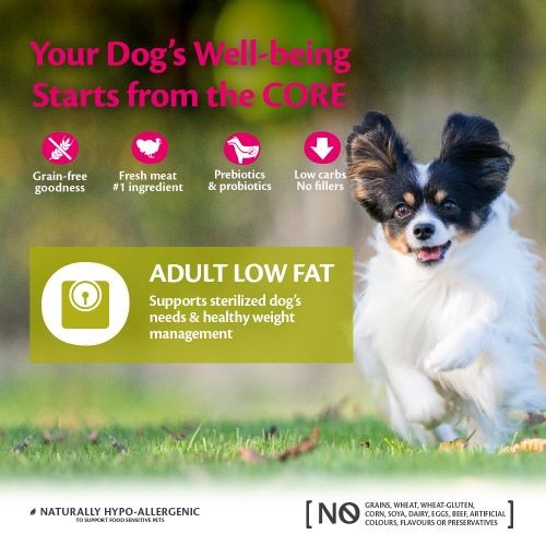 Wellness CORE Small Breed Low Fat Turkey Grain Free Adult Dry Dog Food 1.5kg