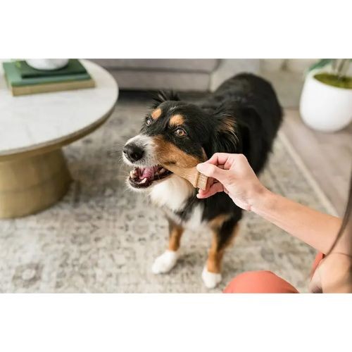 Whimzees Medium Antlers Dental Chew Dog Treat