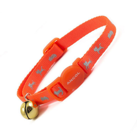 [color:fluorescent orange]