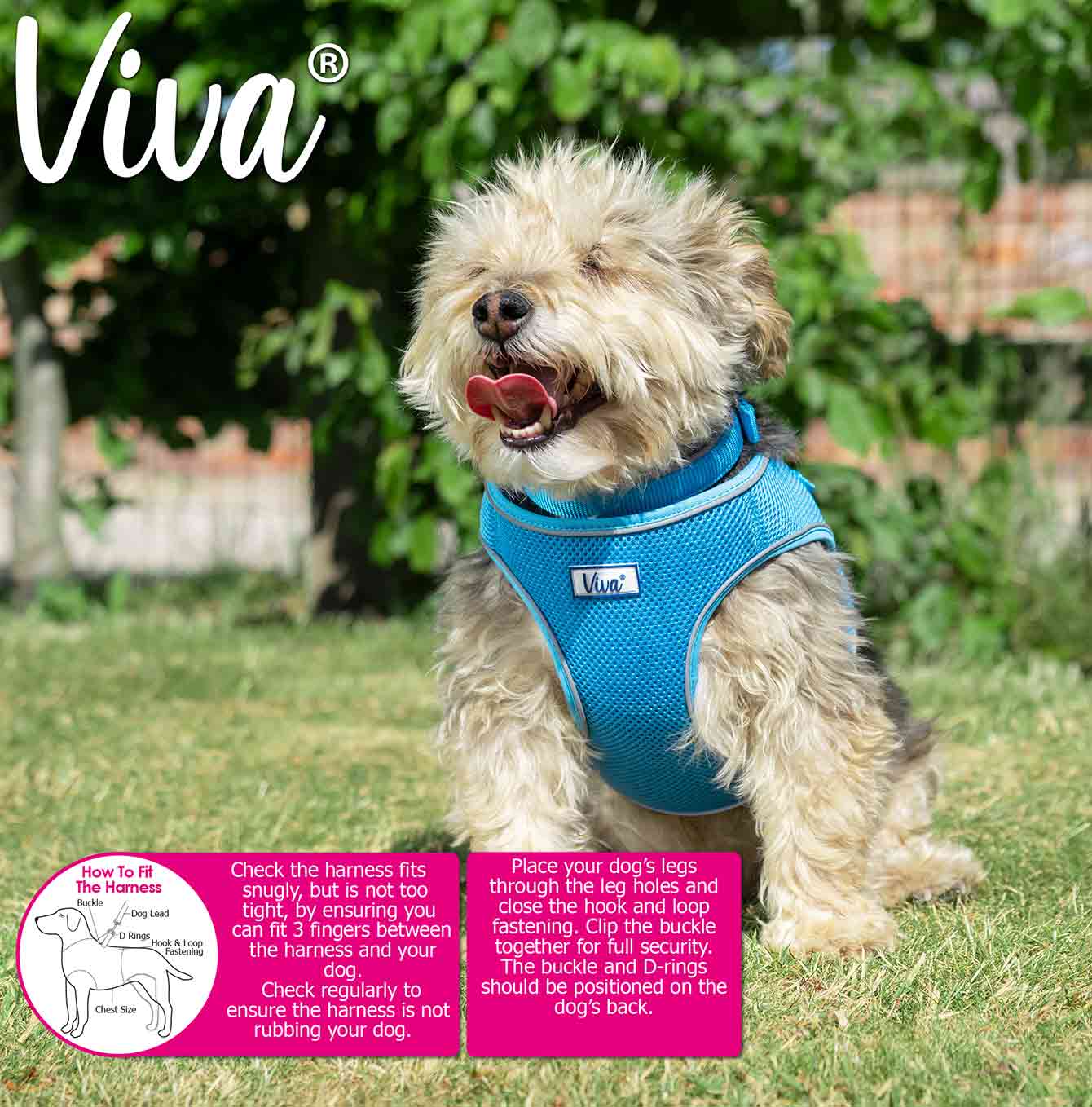 Ancol Viva Step-in Harness