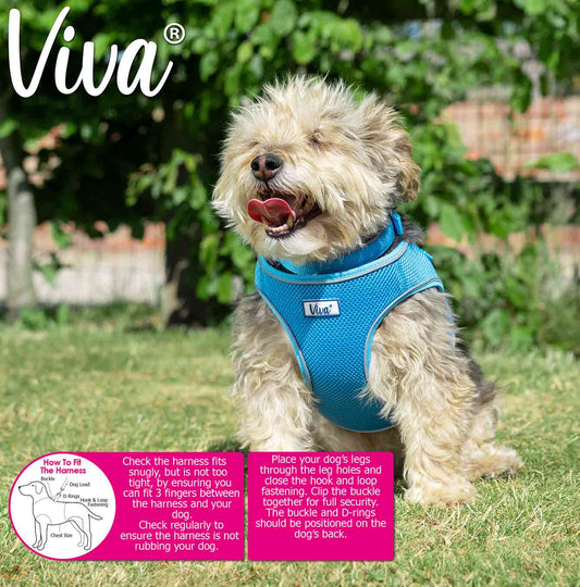 Ancol Viva Step-in Harness