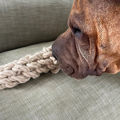 Baker the Eco Chew Toy
