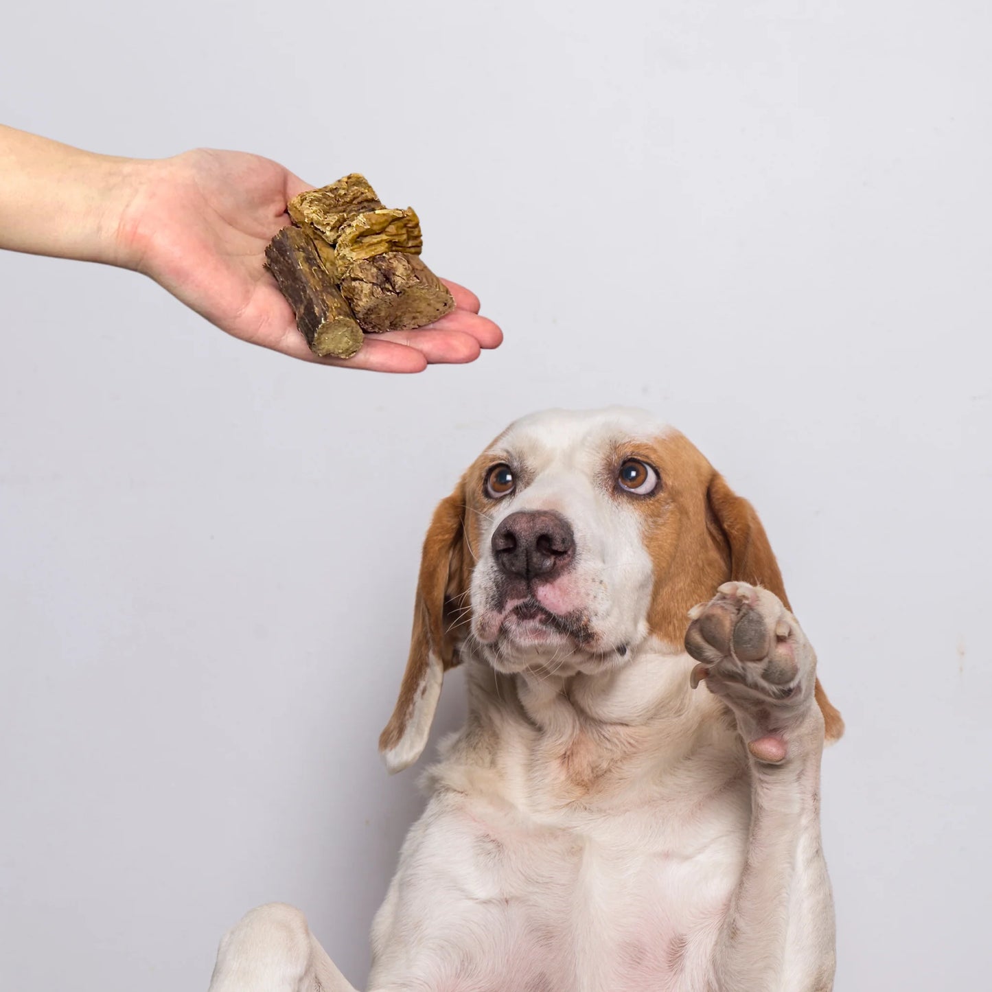 Beef Lung Cubes (1kg)