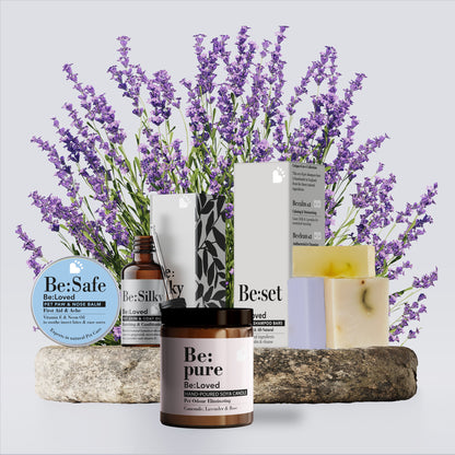 The Be:Loved Original Gift Bundle