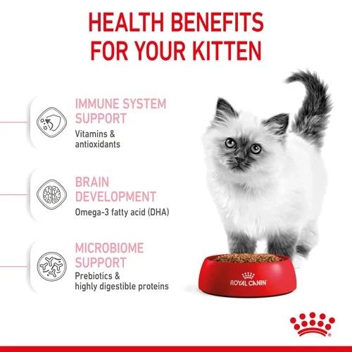 Royal Canin Second Age Kitten Food 4kg