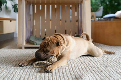 Baker the Eco Chew Toy