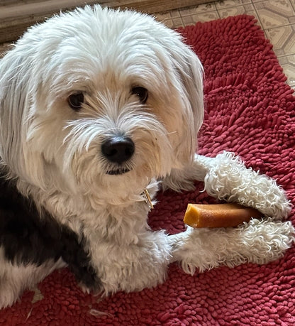 Woodies Coffee Wood Dog Chew Toys