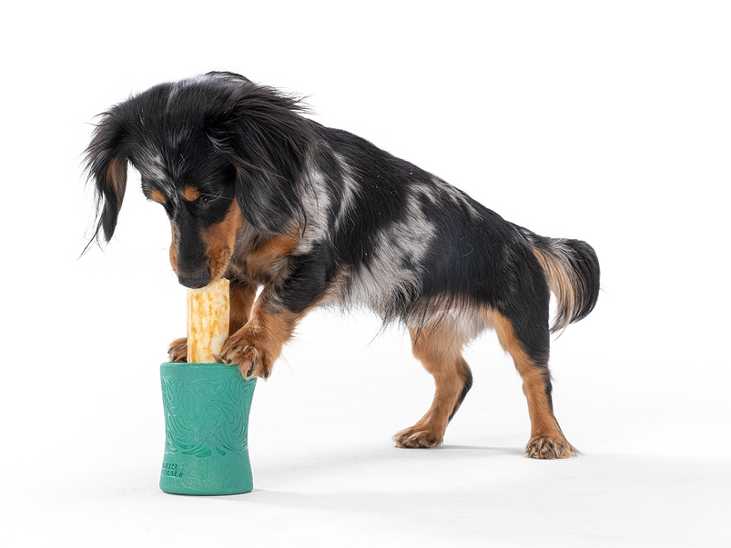 Funnl™ Dog Chew Treat-Dispensing Dog Toy