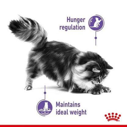 Royal Canin Regular Sterilised Appetite Control Adult Cat Food 3.5kg