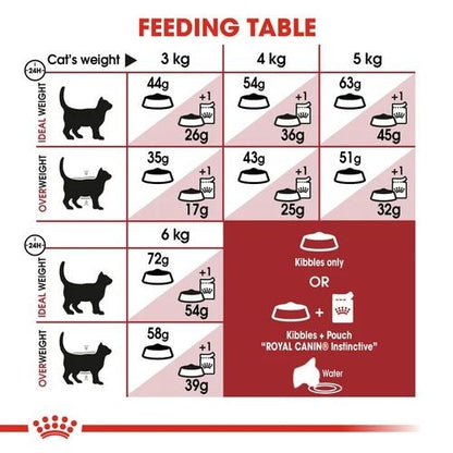 Royal Canin Regular Adult Maintenance Fit 32 Adult Cat Food 400g