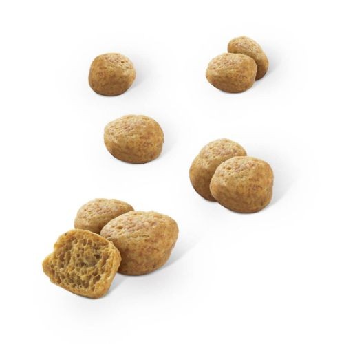 Dentalife Cat Treats Salmon 40g