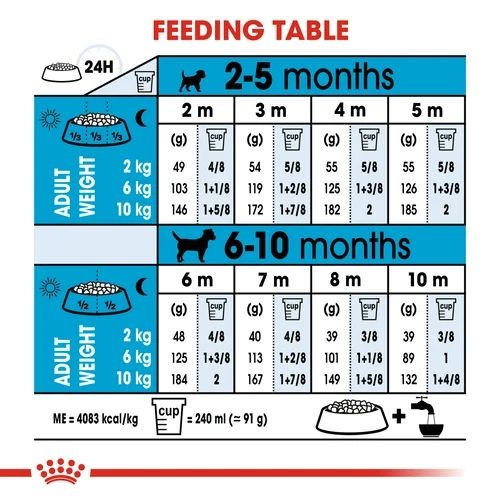 Royal Canin Dry Puppy Food for Mini Breeds 4kg