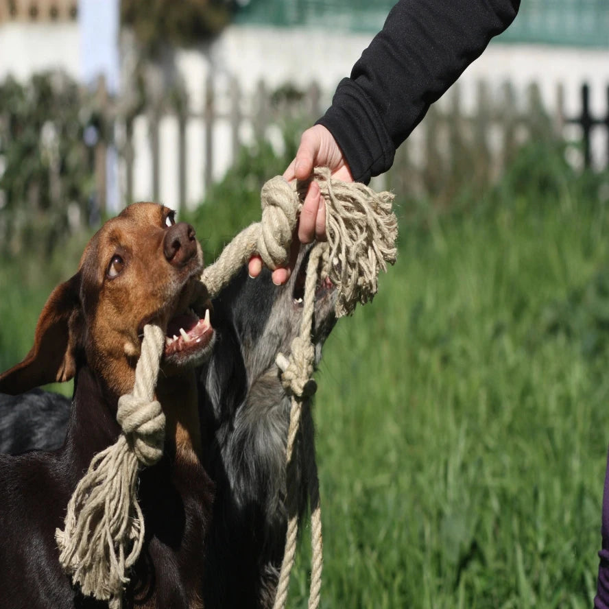 Organic Dog Toy, Eco Friendly Dog Toy, Medium Size, Gift