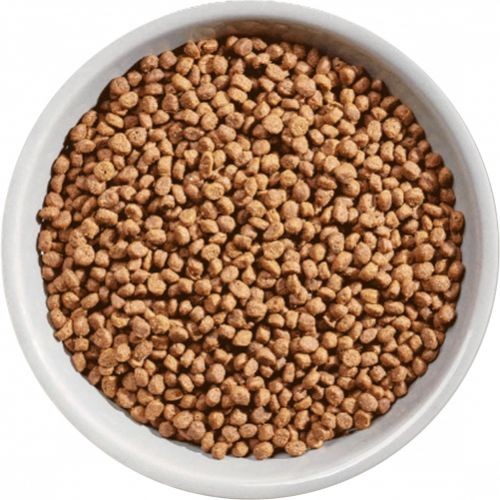 Nature's Variety Selected Dry Kitten Food Free Range Chicken 1.25kg