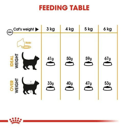 Royal Canin Hair and Skin Care Adult Cat Food 2kg