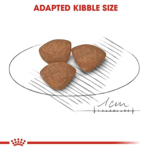 Royal Canin Dry Puppy Food for Mini Breeds 4kg