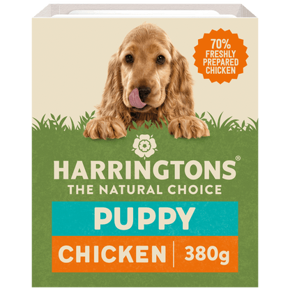 Chicken with Potato & Vegetables Grain Free Wet Puppy Food 8 x 380g