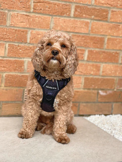 A&C MTW Harness Roamer Medium