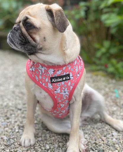 A&C Harness Little Lillies XS