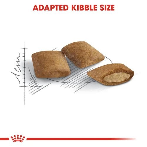 Royal Canin Senior Ageing +12 Cat Food 2kg