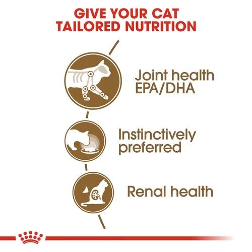 Royal Canin Ageing +12 Cat Food in Jelly Pouches 12 x 85g