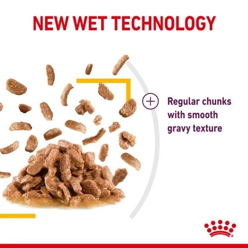 Royal Canin FHN Sensory Taste Cat Food Pouch in Gravy 12 x 85g