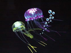 Jellyfish Twin Pack Purple/Yellow Glowing Effect
