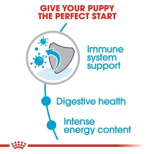 Royal Canin Dry Puppy Food for Mini Breeds 4kg
