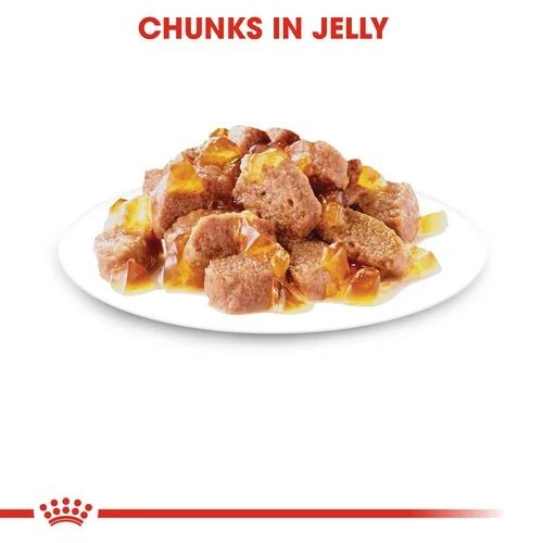 Royal Canin Ageing +12 Cat Food in Jelly Pouches 12 x 85g