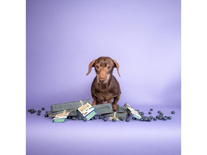 YAKERS Superfood Blueberry Medium Chew
