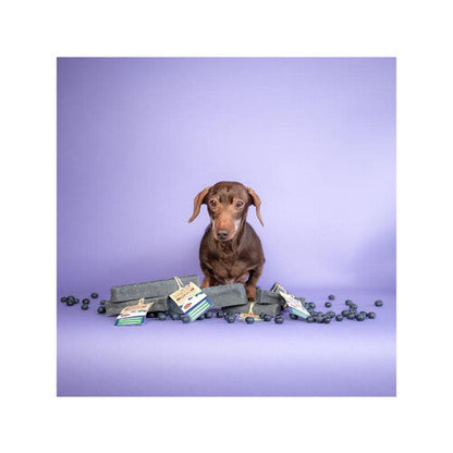 YAKERS Superfood Blueberry Medium Chew