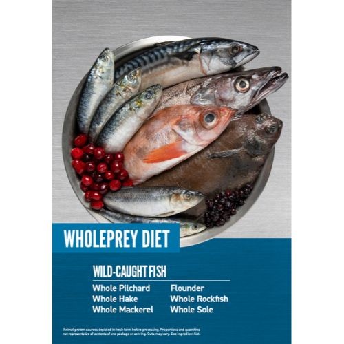 Orijen Six Fish Dry Cat Food Grain Free All Life Stages 1.8kg