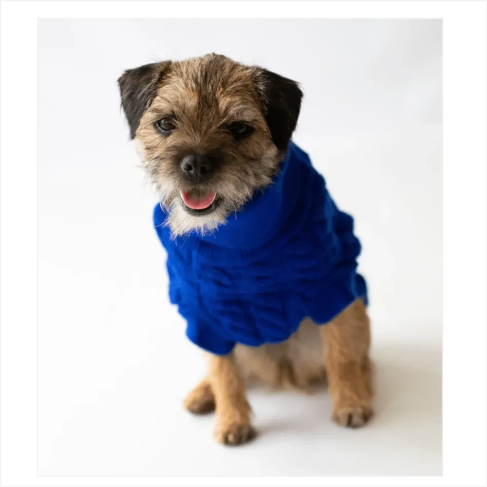 The Rascal Dog Jumper in Blue