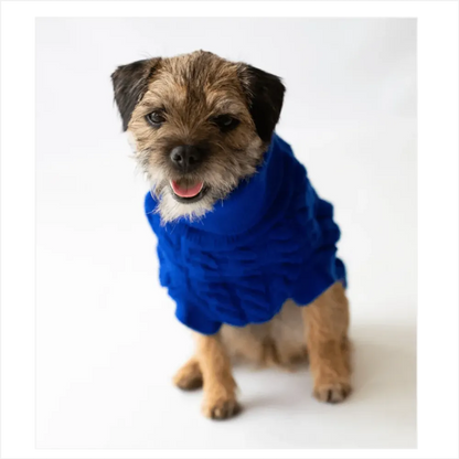 The Rascal Dog Jumper in Blue