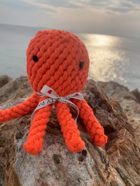 Handmade Small Eco-Octopus Chew Rope Toys