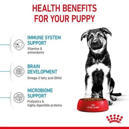 Royal Canin Maxi DryPuppy Food 15kg