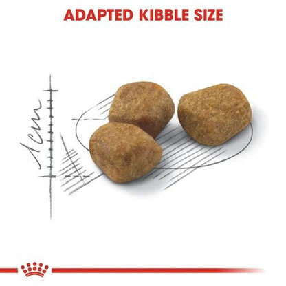 Royal Canin Regular Adult Maintenance Fit 32 Adult Cat Food 400g