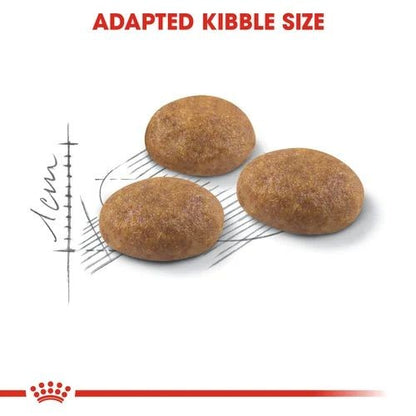 Royal Canin Active Life Outdoor Adult Cat Food 2kg